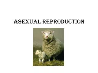 asexual reproduction