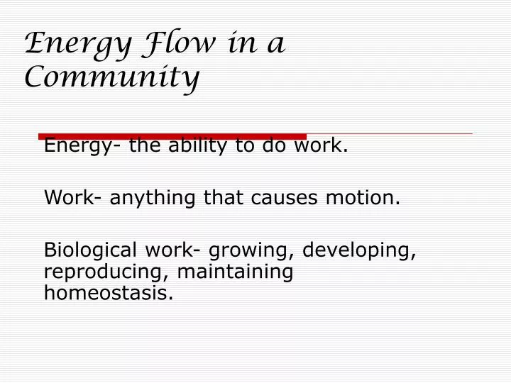 energy flow in a community