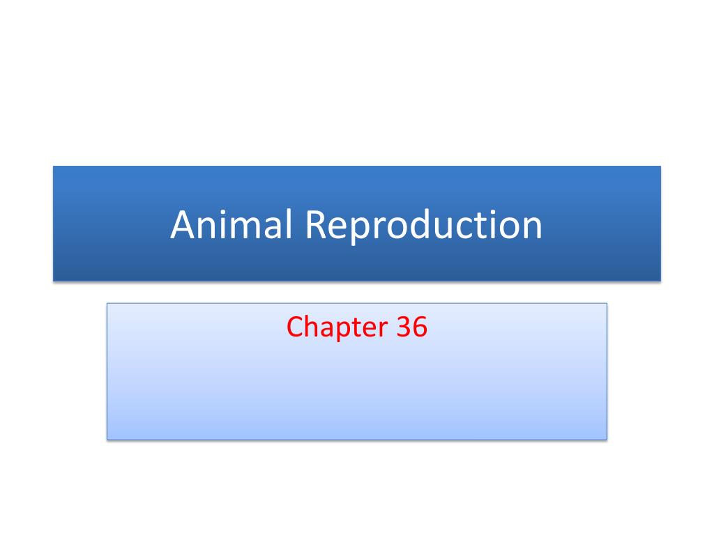 PPT - Animal Reproduction PowerPoint Presentation, free download - ID ...