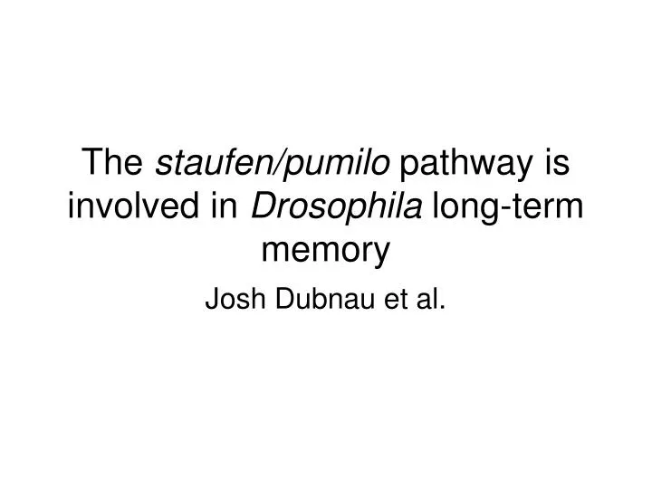 the staufen pumilo pathway is involved in drosophila long term memory