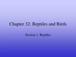 Chapter 32: Reptiles and Birds