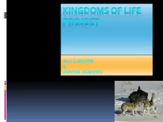 Kingdoms of life project