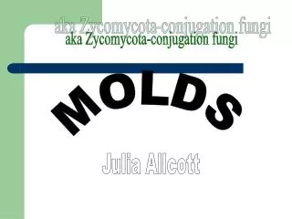 MOLDS