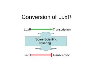 Conversion of LuxR