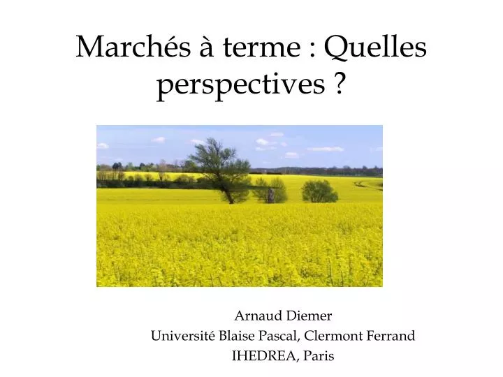 arnaud diemer universit blaise pascal clermont ferrand ihedrea paris