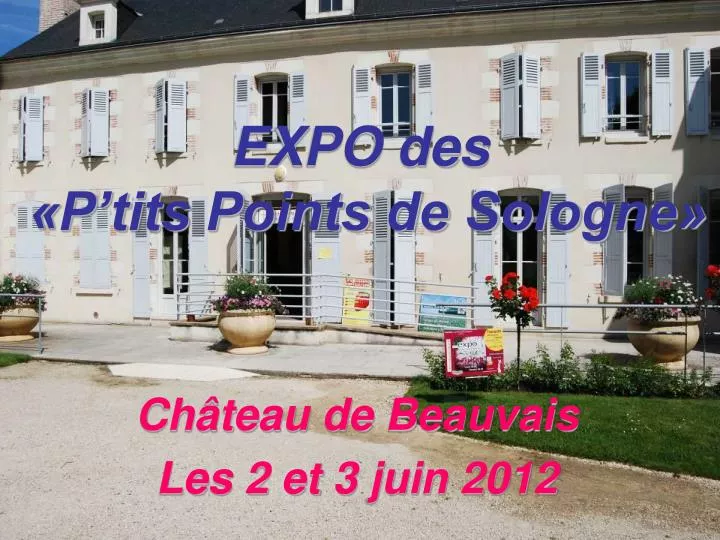 expo des p tits points de sologne