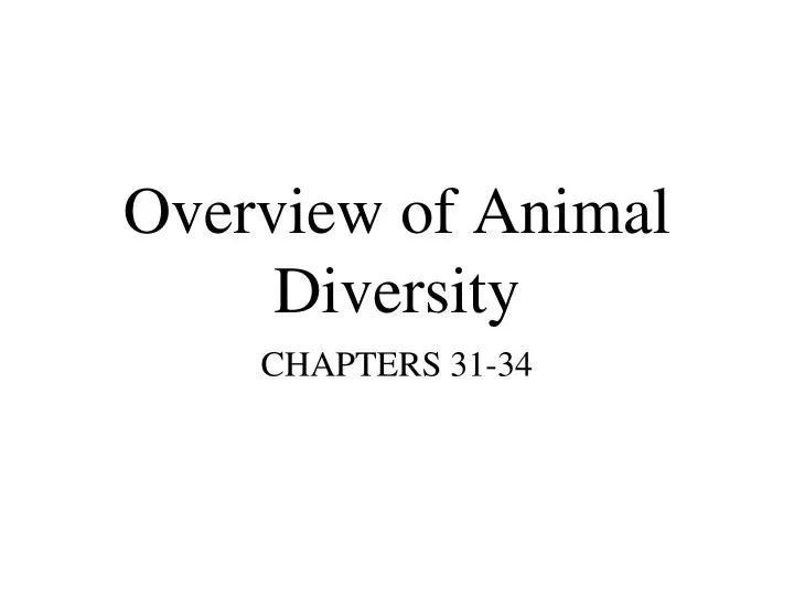 overview of animal diversity
