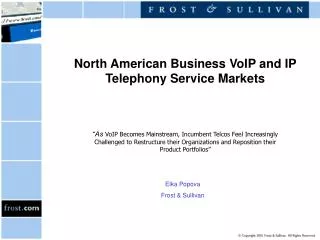 North American Business VoIP and IP Telephony Service Markets