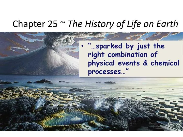 chapter 25 the history of life on earth