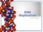 DNA Replication - slide 1