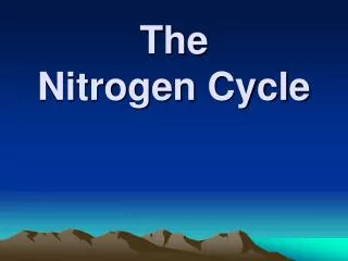 The Nitrogen Cycle