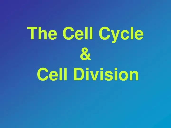 the cell cycle cell division