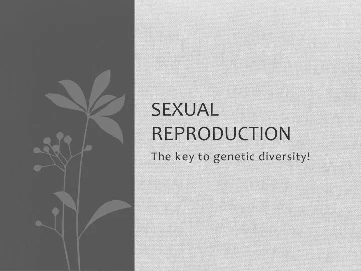 Ppt Sexual Reproduction Powerpoint Presentation Free Download Id6520886 