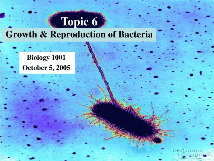 topic 6 growth reproduction of bacteria