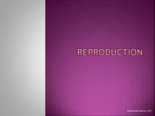 Reproduction