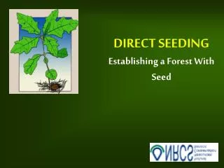 DIRECT SEEDING Establishing a Forest With Seed