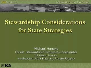 Stewardship Considerations for State Strategies
