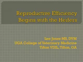 Reproductive Efficiency Begins with the Heifers