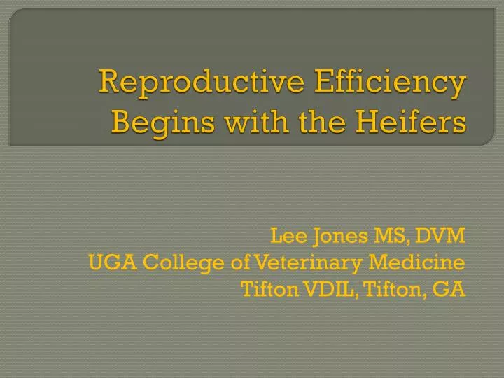 reproductive efficiency begins with the heifers