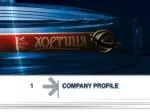 COMPANY PROFILE - slide 1