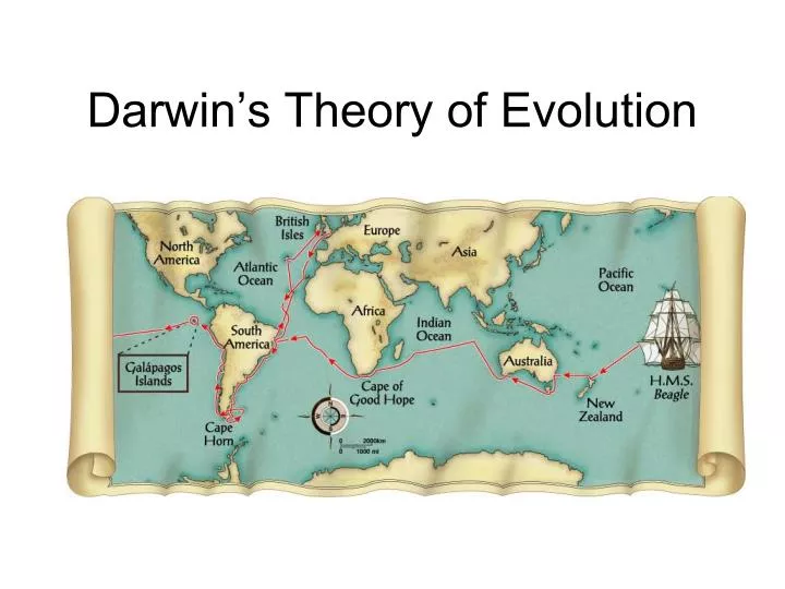 darwin s theory of evolution