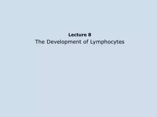 Lecture 8 The Development of Lymphocytes
