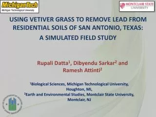 USING VETIVER GRASS TO REMOVE LEAD FROM RESIDENTIAL SOILS OF SAN ANTONIO, TEXAS: