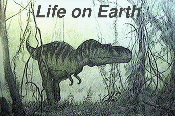 life on earth