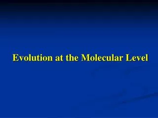 Evolution at the Molecular Level