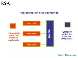 glycerol