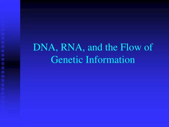 dna rna and the flow of genetic information