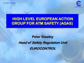 HIGH LEVEL EUROPEAN ACTION GROUP FOR ATM SAFETY (AGAS)