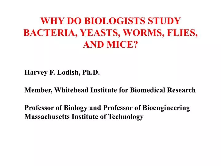 why do biologists study bacteria yeasts worms flies and mice