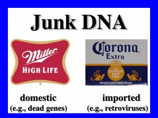 Junk DNA domestic imported (e.g., dead genes) (e.g., retroviruses)