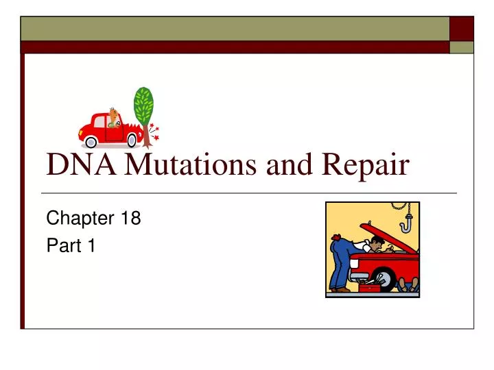 dna mutations and repair