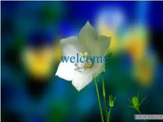 welcome