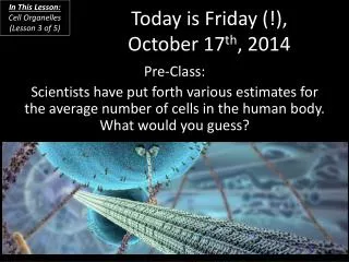 Today is Friday (!), October 17 th , 2014
