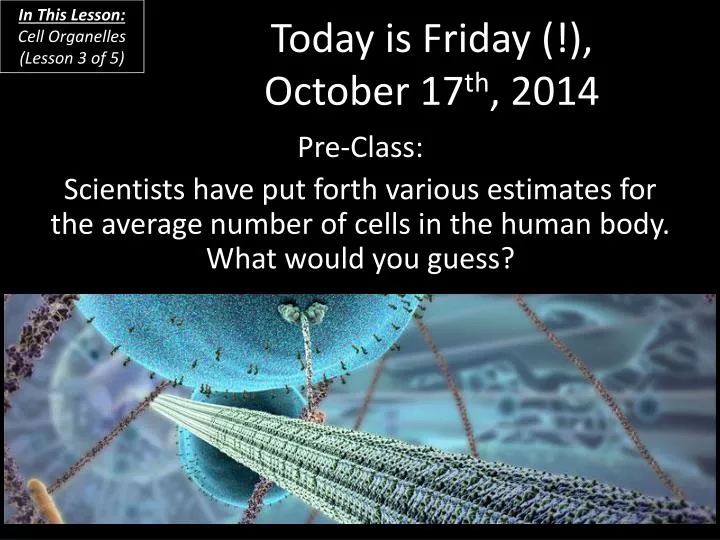 today is friday october 17 th 2014