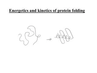 Energetics and kinetics of protein folding