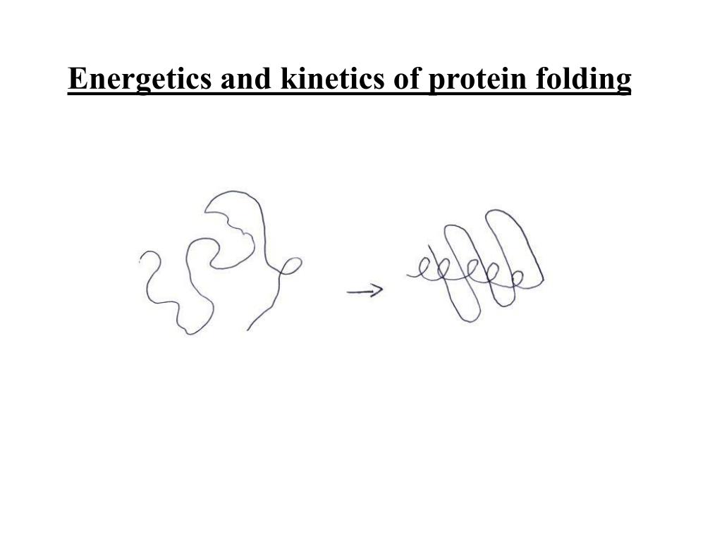 PPT - Energetics and kinetics of protein folding PowerPoint ...
