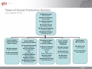 Team of Social Protection Section (as of March 2010)