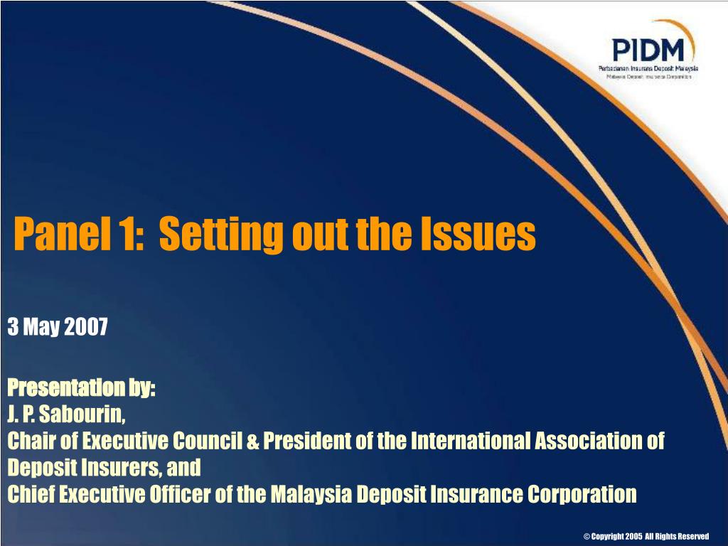 PPT - Panel 1: Setting out the Issues PowerPoint Presentation, free ...