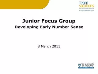 Junior Focus Group Developing Early Number Sense 8 March 2011
