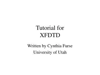 Tutorial for XFDTD