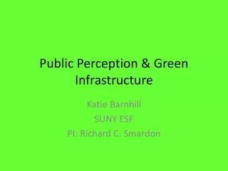 Public Perception &amp; Green Infrastructure