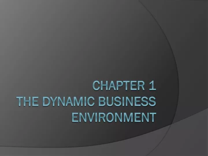 chapter 1 the dynamic business environment