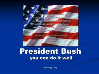 President Bush you can do it well By Audrey Deng