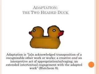 Adaptation: the Two Headed Duck