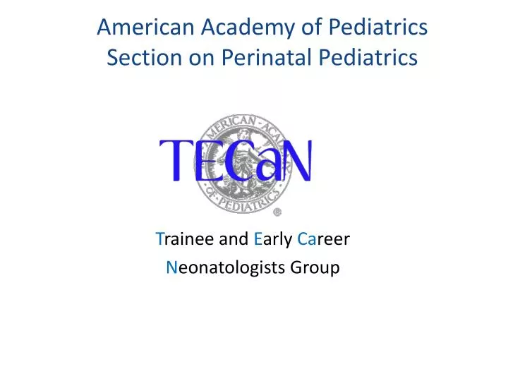 american academy of pediatrics section on perinatal pediatrics