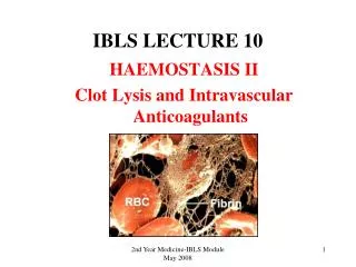 IBLS LECTURE 10
